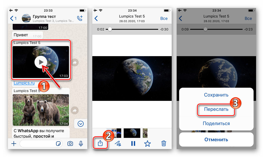 WhatsApp для iPhone вызов функции Переслать на экране полноразмерного просмотра контента в мессенджере