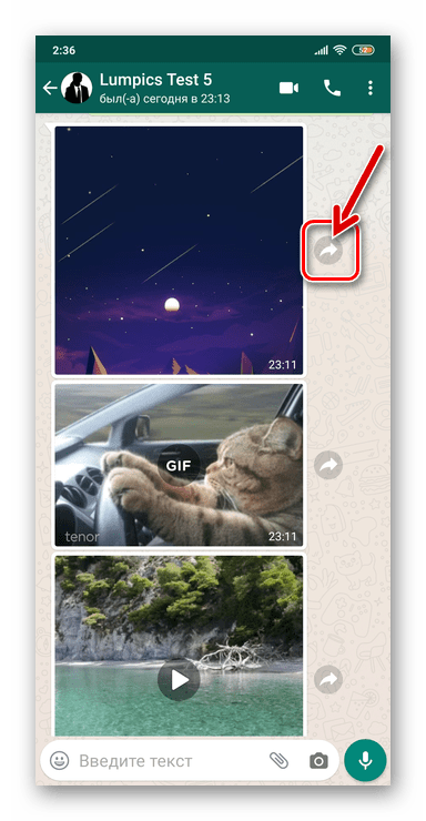 WhatsApp для Android кнопка на экране чата, инициирующая вызов функции Переслать для фото, видео или GIF