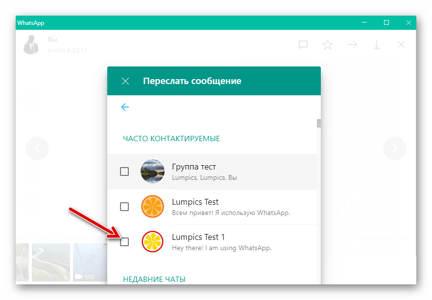 WhatsApp для Windows пересылка контента из одного чата в другой - выбор получателя