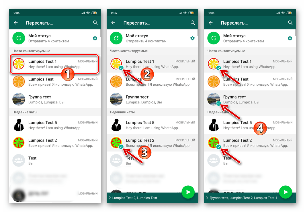 WhatsApp для Android выбор получателей при пересылки видео, фото или анимации из одного чата в другой