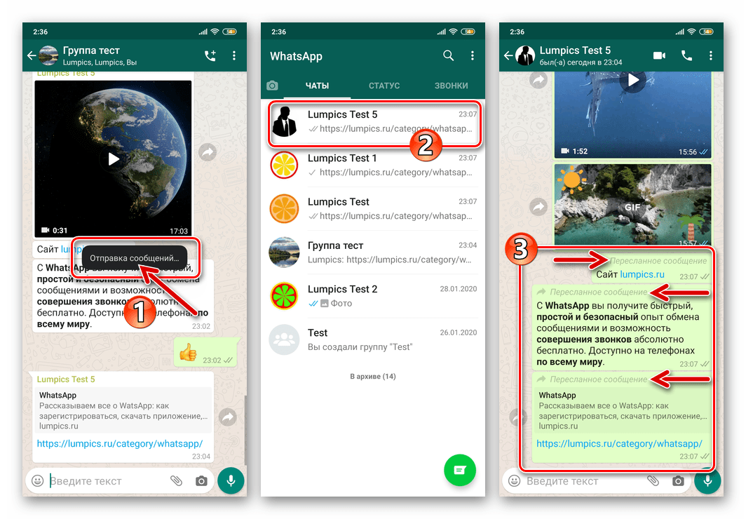 WhatsApp для Android процесс пересылки сообщений из одного чата в другие, проверка доставки