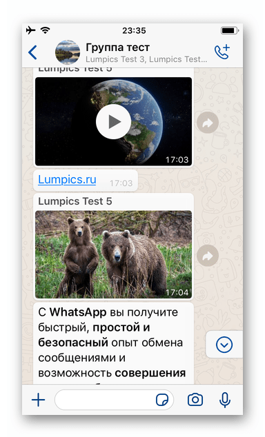 WhatsApp для iPhone подлежащее пересылке за пределы мессенджера сообщение с контентом в чате