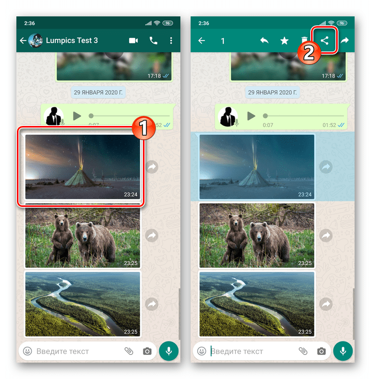 WhatsApp для Android вызов функции Поделиться для изображения в чате