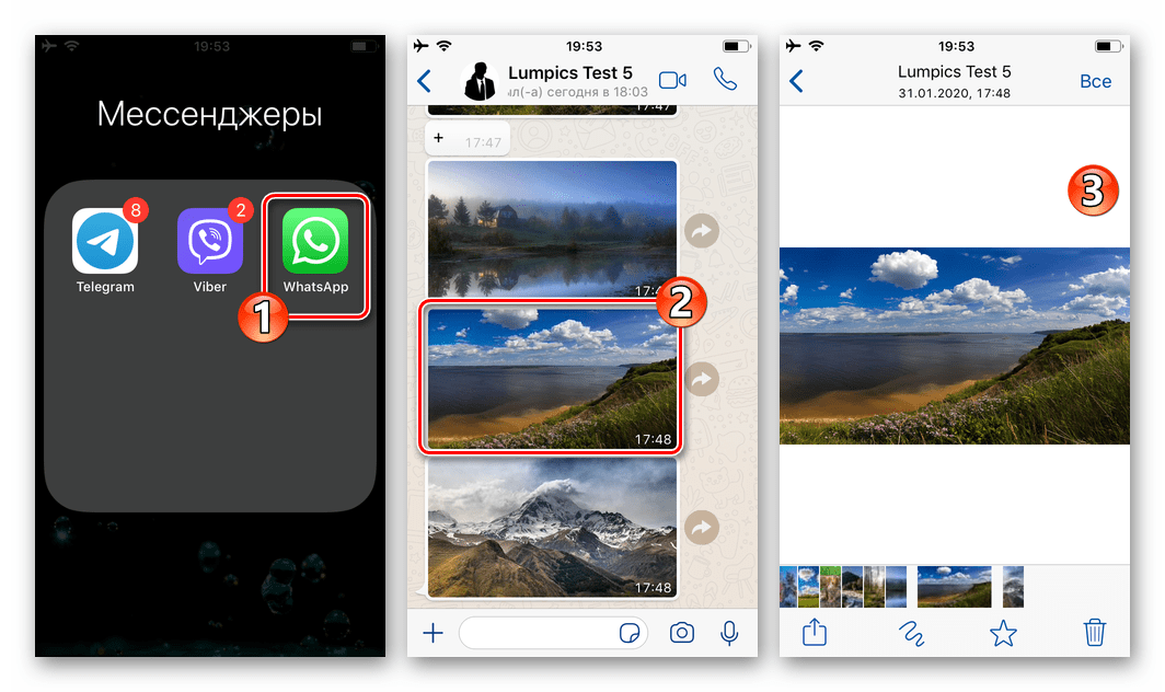 WhatsApp для iPhone открытие чата с фото переход в полноэкранный просмотр