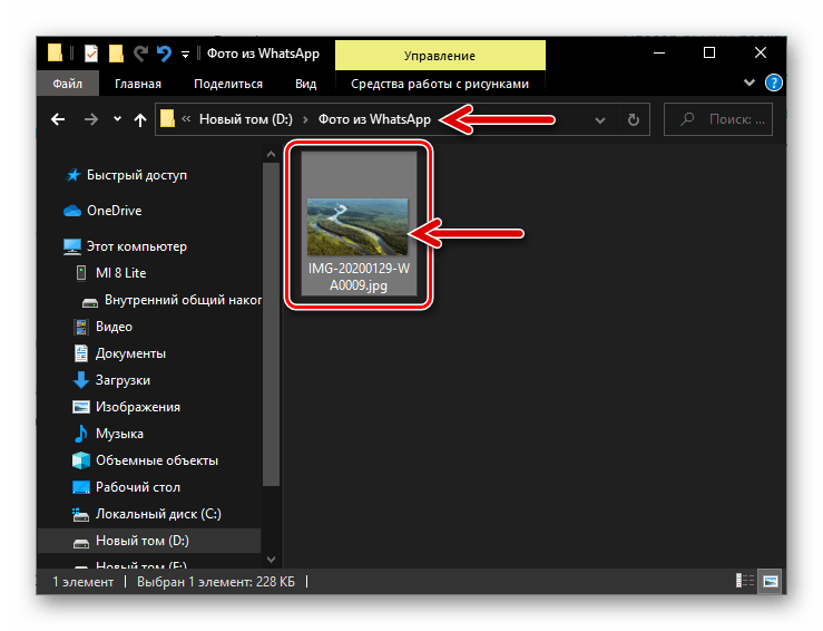 Фото из WhatsApp скопировано с Android-девайса на диск ПК