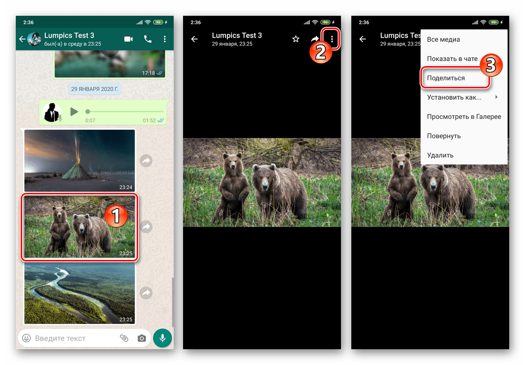 WhatsApp для Android - вызов функции Поделиться с экрана полноразмерного просмотра фото из чата