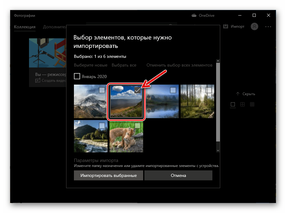 Фотографии Windows 10 выбор полученной из ВатсАп фотографии в памяти iPhone для копирования на ПК