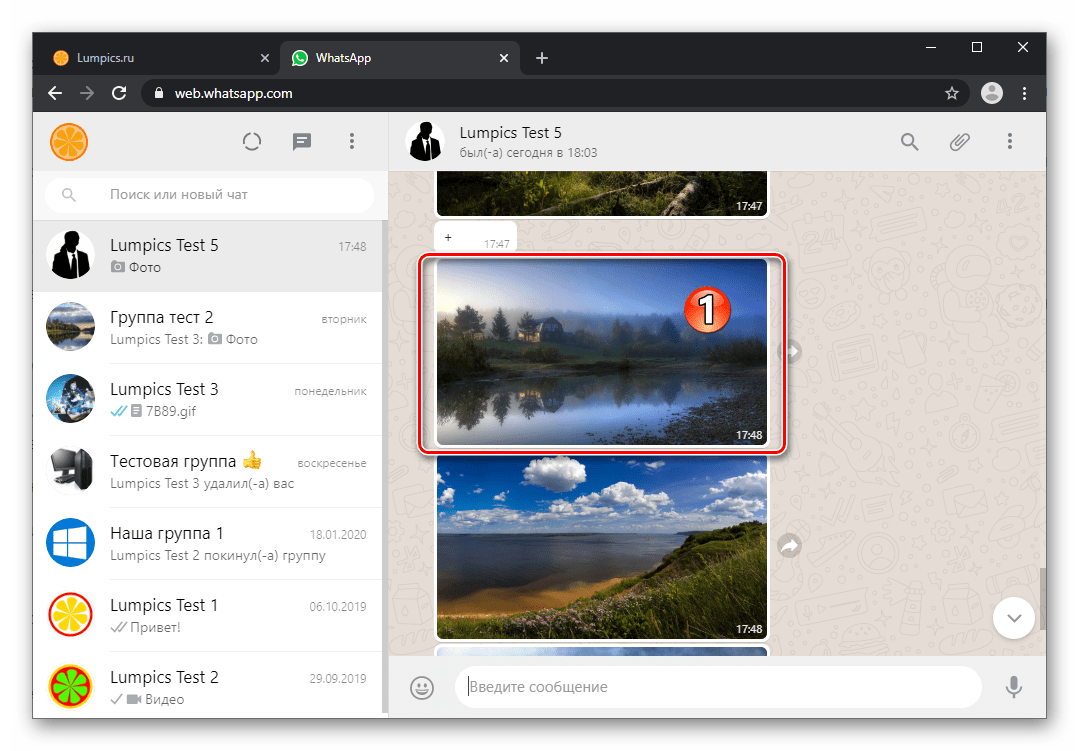 WhatsApp Web фотография в чате, которую нужно скачать на диск Пк