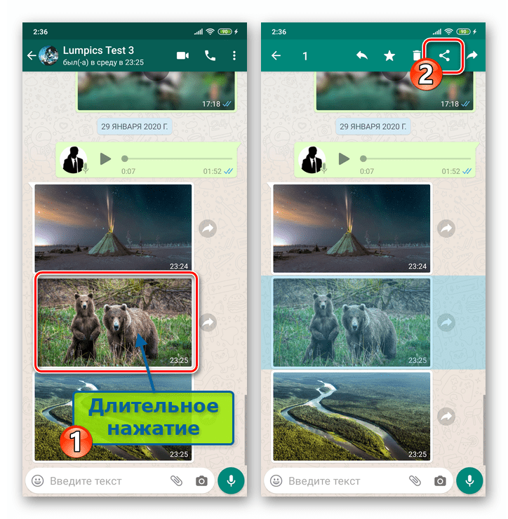 WhatsApp для Android выделить фото в переписке - значок Отправить