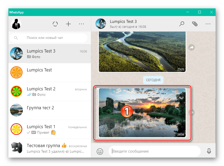 WhatsApp для Windows переход в режим полноэкранного просмотра фото из переписки