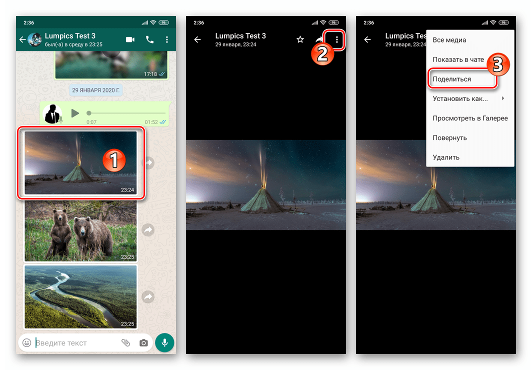 WhatsApp для Android переход к функции Поделиться с экрана просмотра фото из переписки