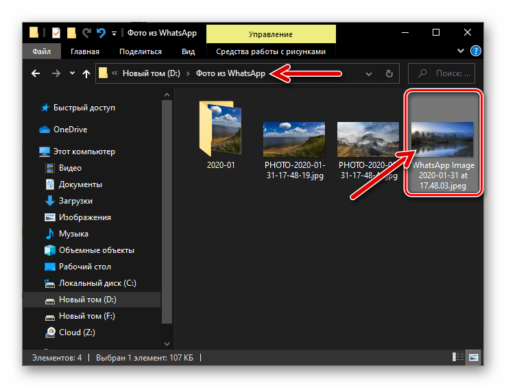 WhatsApp для iPhone - фото из чата скопировано на компьютер с помощью веб-версии мессенджера