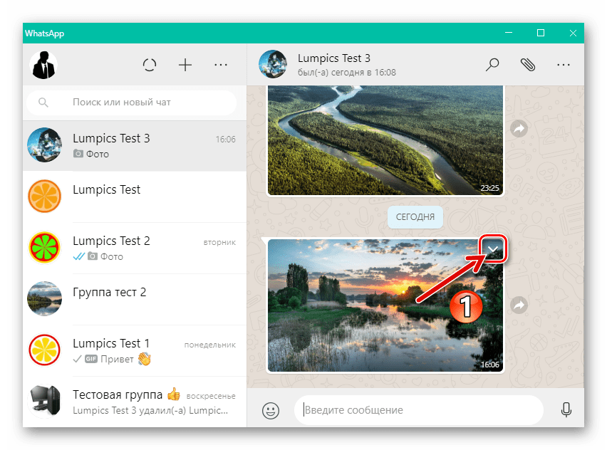 WhatsApp для Windows вызов меню действий, применимых к изображению в чате