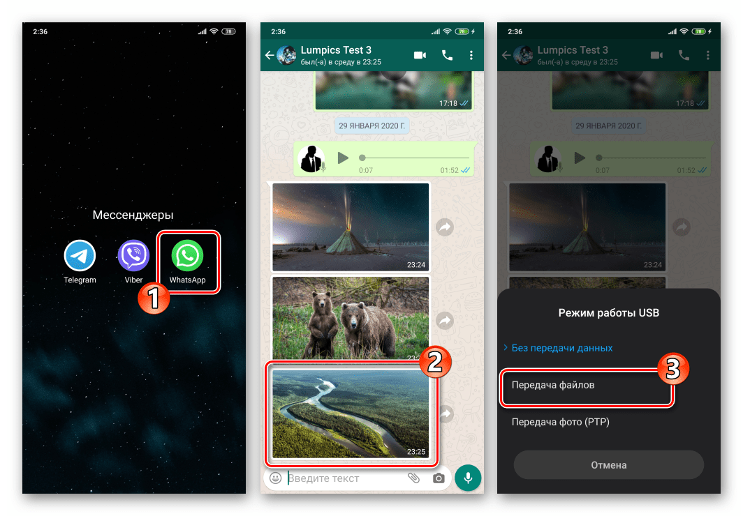 WhatsApp для Android подключение девайса к ПК с целью скопировать фото из мессенджера