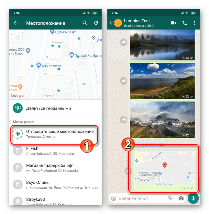 WhatsApp для Android единоразовая отправка своей геопозиции в чат или группу