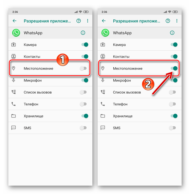 WhatsApp для Android Предоставление мессенджеру доступа к модулю Местоположение