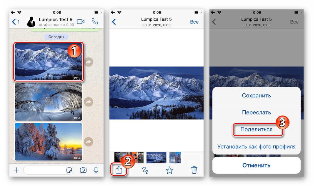 WhatsApp для iOS вызов функции Поделиться из режима полноэкранного просмотра фото в мессенджере