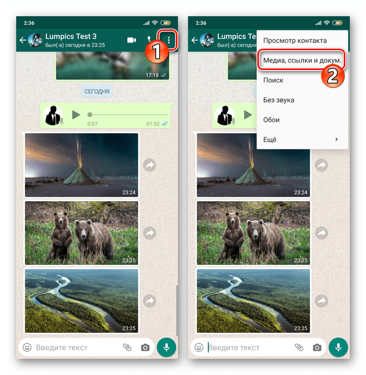 WhatsApp для Android пункт Медиа ссылки документы в меню чата