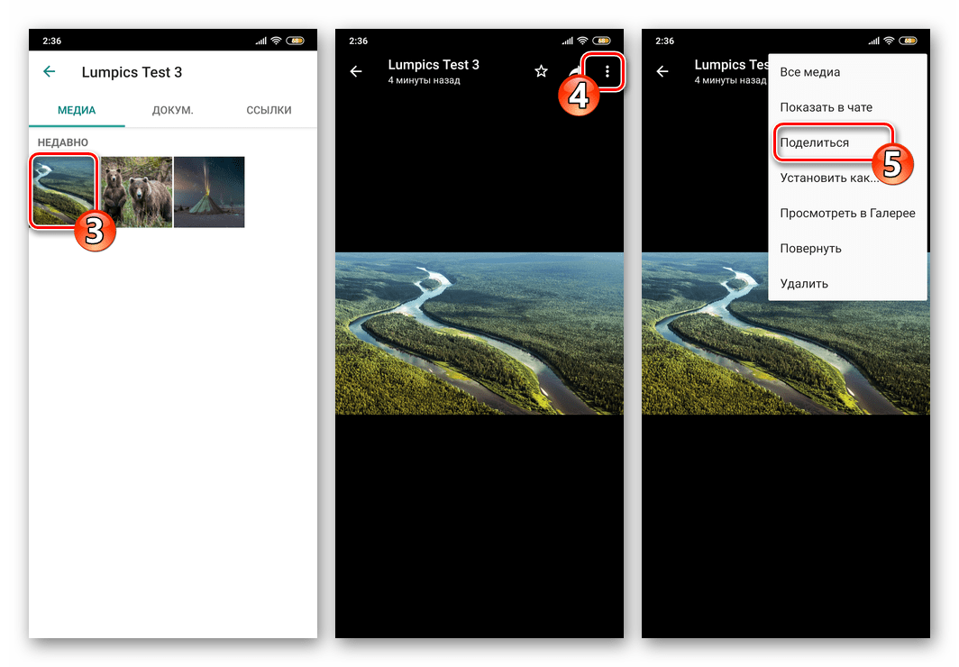 WhatsApp для Android Поделиться фотграфией из галереи медиа конкретного чата