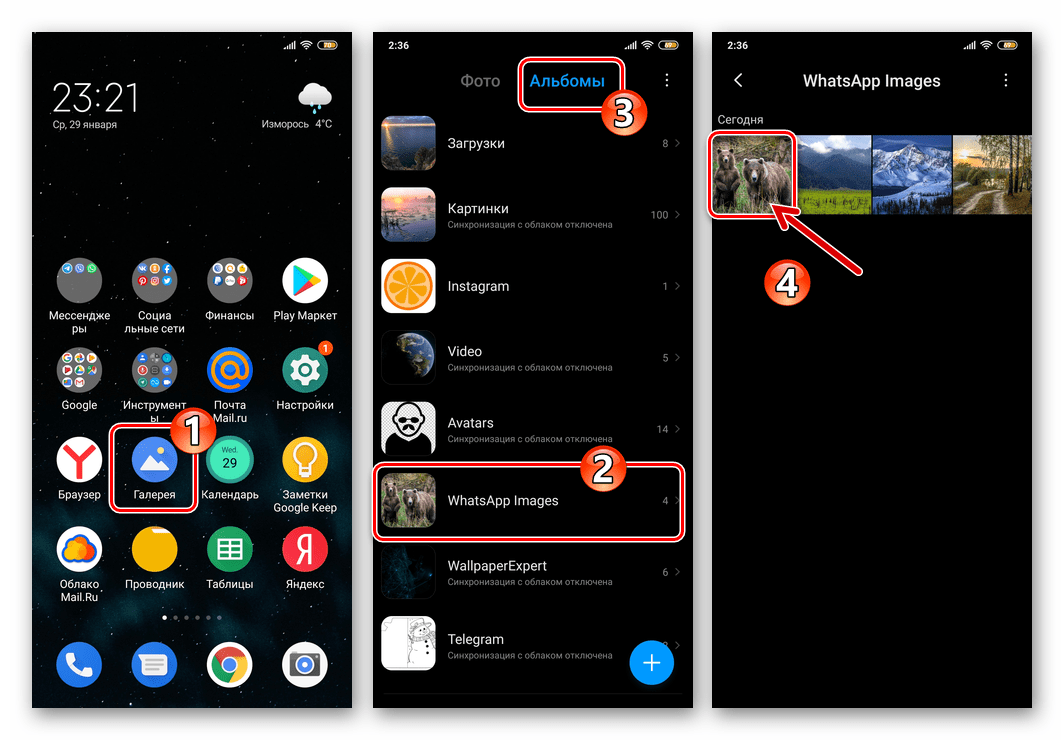 WhatsApp для Android сохраненное из мессенджера фото в Галерее ОС