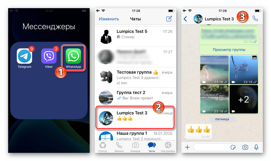 WhatsApp для iOS запуск мессенджера на iPhone, переход в чат для отправки GIF