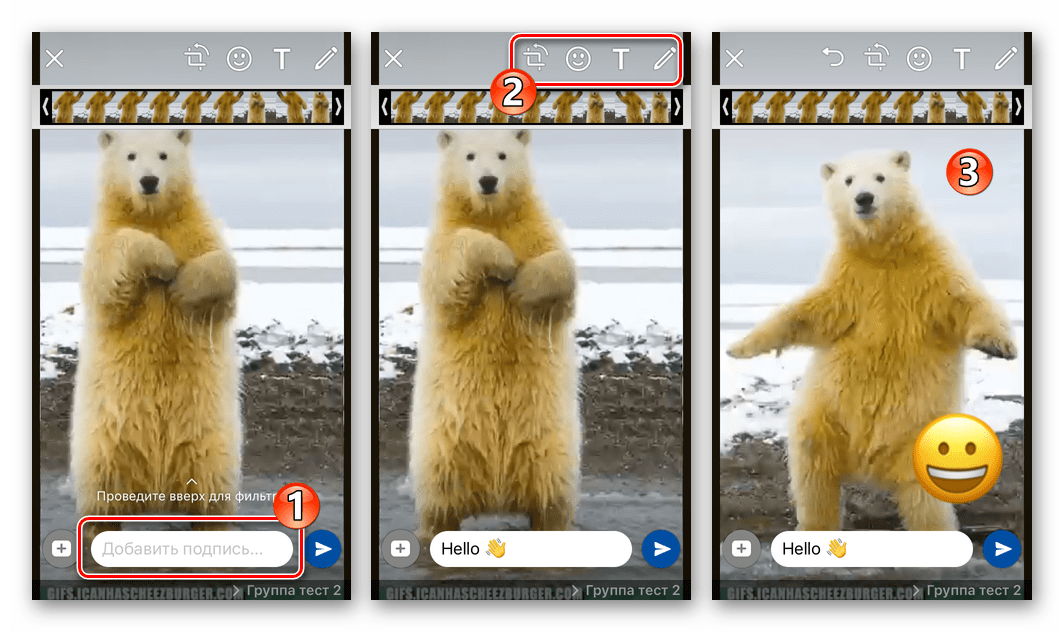 WhatsApp для iOS отправка гифки из памяти iPhone - добавление описания и эффектов