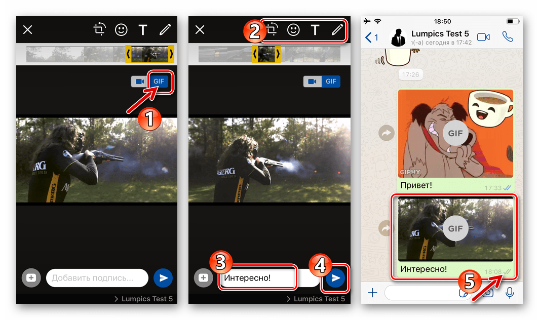 WhatsApp для iOS отправка полученной из видео гифки собеседнику в мессенджере