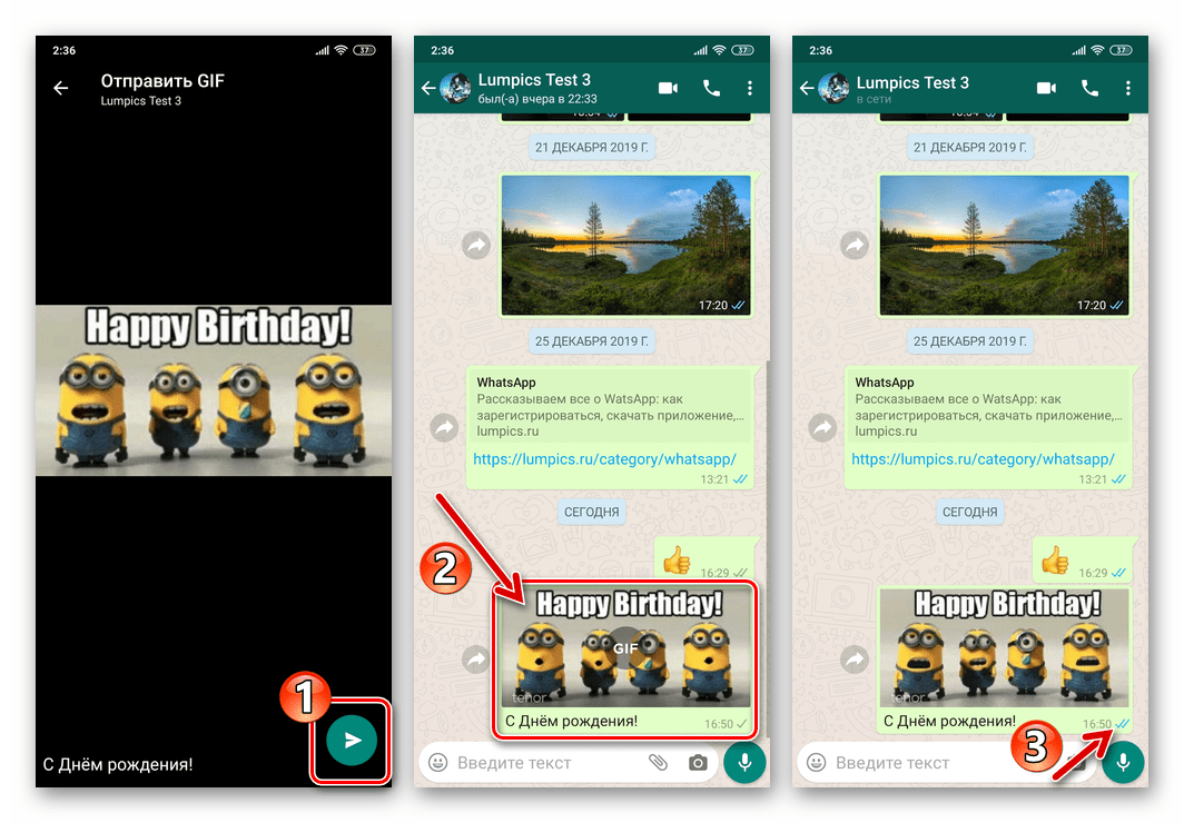 WhatsApp для Android - процесс отправки и доставки GIF-анимации из каталога мессенджера собеседнику