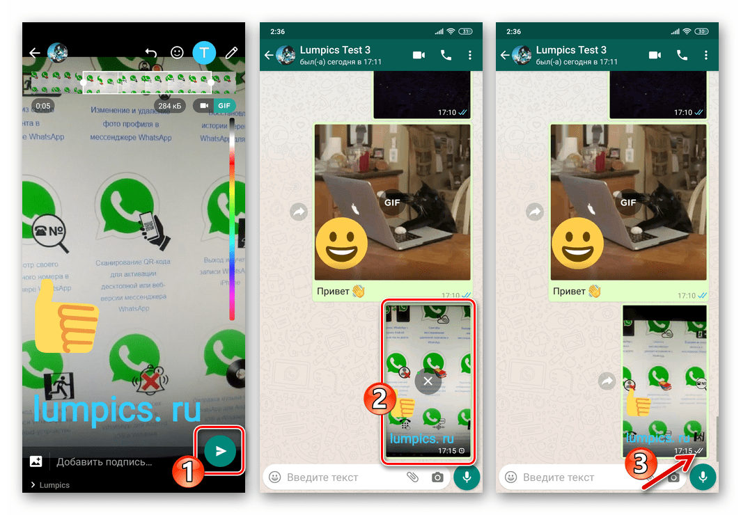 WhatsApp для Android процесс отправки и доставки созданной через мессенджер гифки