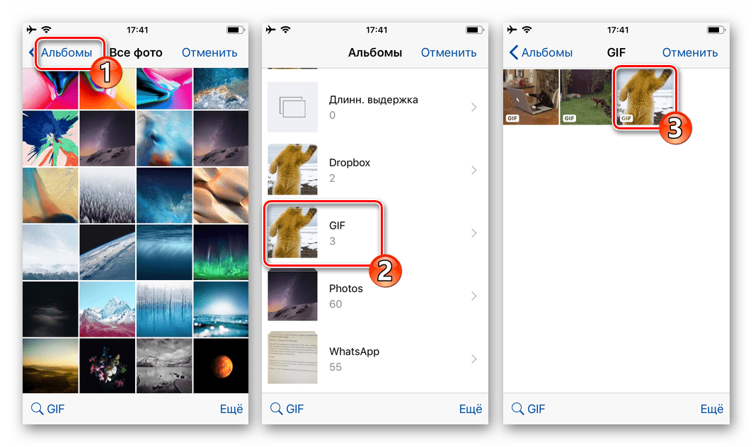 WhatsApp для iOS выбор GIF для отправки в чат в хранилище iPhone