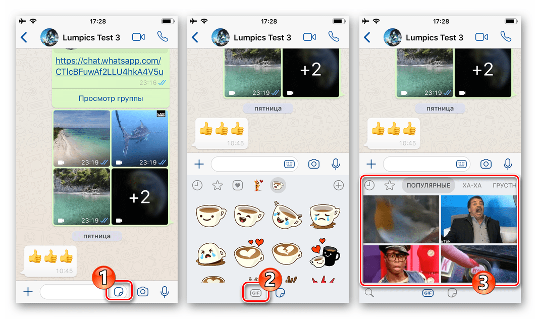 WhatsApp для iOS переход в каталог GIF с экрана чата