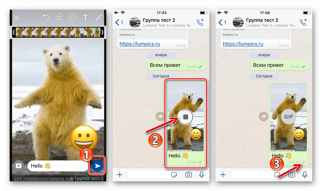 WhatsApp для iOS процесс отправки гифки из хранилища iPhone в чат или группу