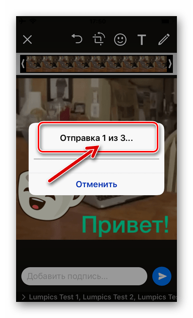 Процесс отправки GIF-файлов из Documents от Readdle через WhatsApp для iOS