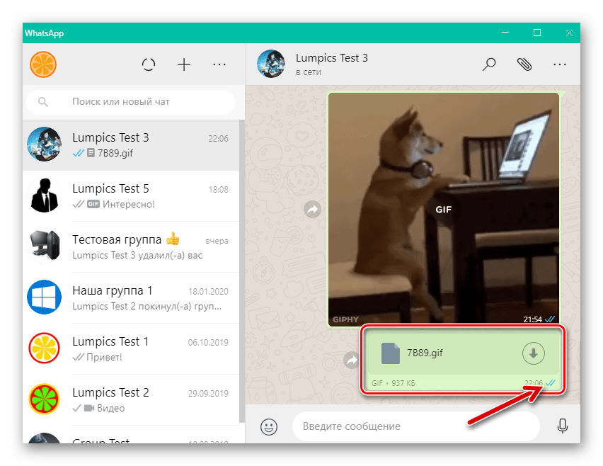WhatsApp для Windows доставка GIF-файла с компьютера через мессенджер завершена