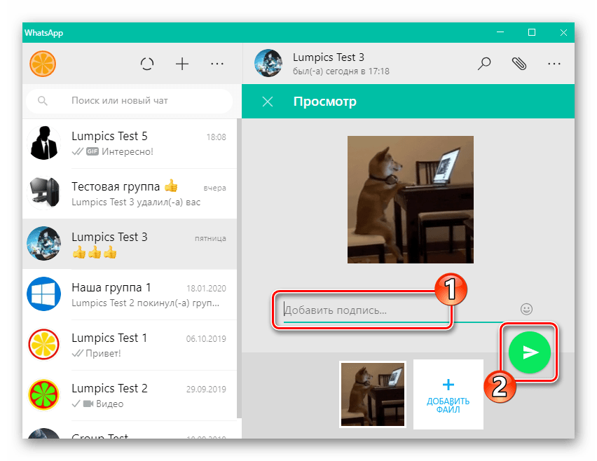 WhatsApp для Windows добавление подписи и отправка GIF-анимации собеседнику в мессенджере