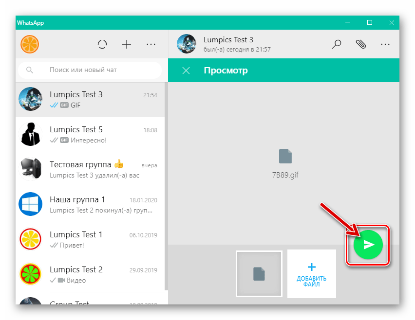 WhatsApp для Windows отправка гифки в виде файла через мессенджер