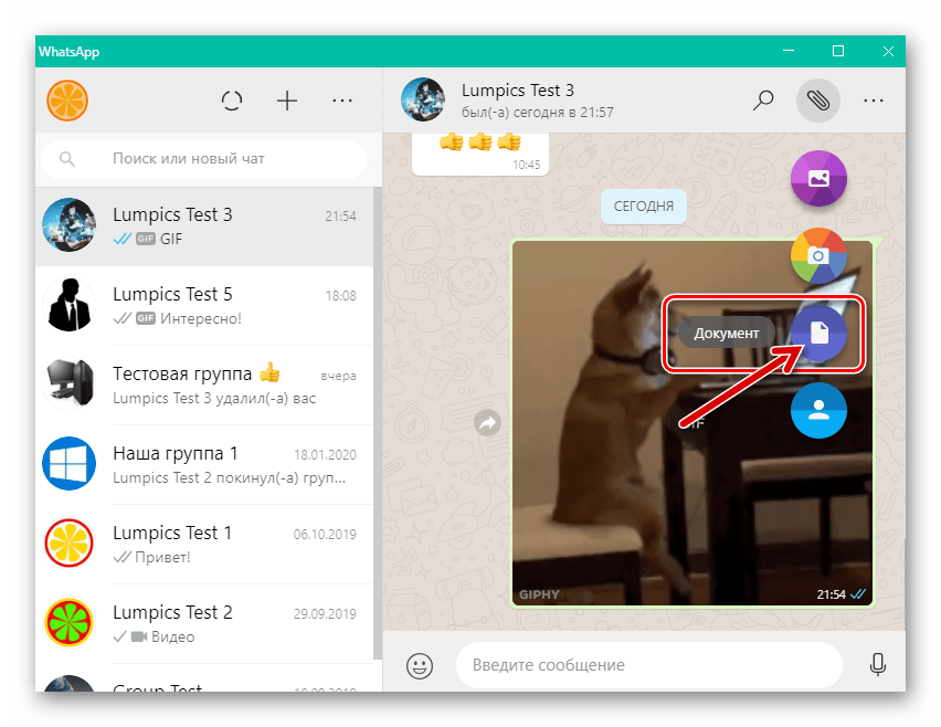 WhatsApp для Windows пункт Документ в меню выбора типа вложения для отправки GIF-файла с ПК