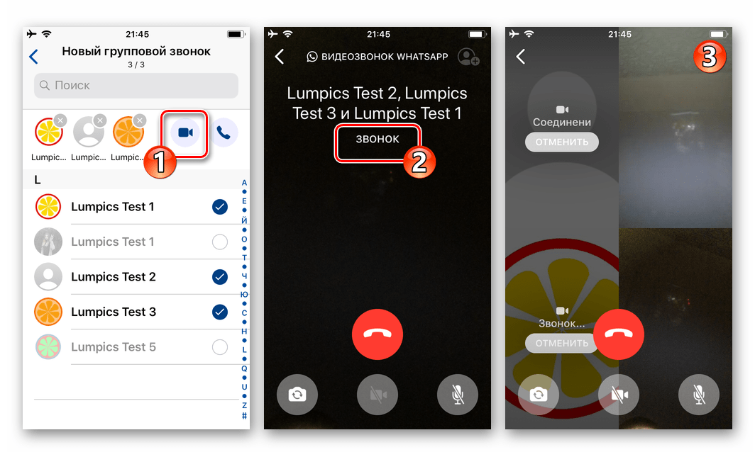 WhatsApp для iOS список участников группвого звонка сформирован, инициация видеосвязи