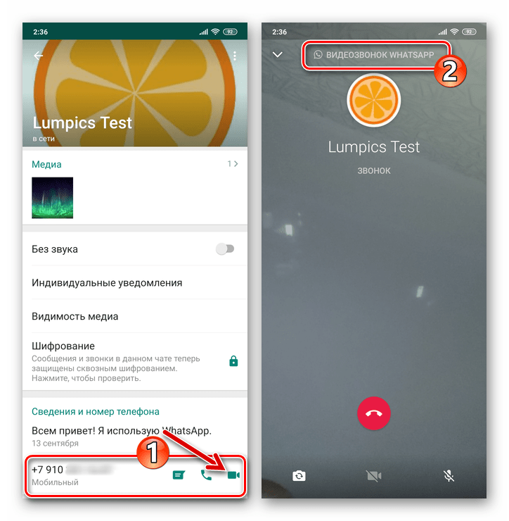 WhatsApp для Android видеозвонок пользователю с его карточки контакта