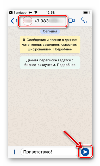 WhatsApp для iPhone чат в мессенджере, открытый в результате работы программы Sendapp