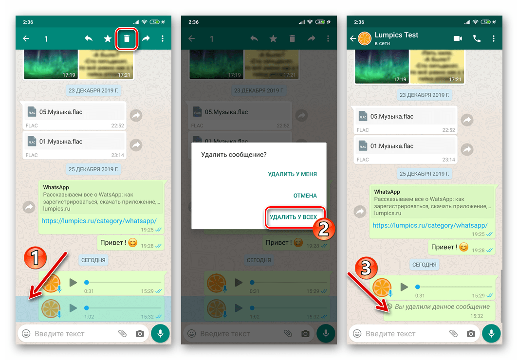 WhatsApp для Android удаление отправленого голосового сообщения у себя и собеседника