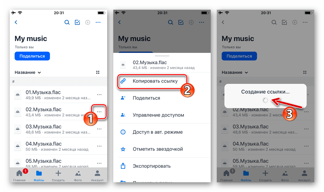 WhatsApp для iPhone Dropbox вызов меню аудиофайла, сохраненного в хранилище - пункт Копировать ссылку