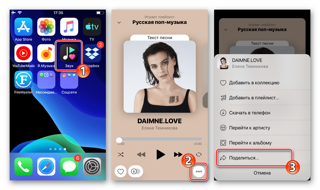 WhatsApp для iOS - опция Поделиться в программе стримингового сервиса Zvooq задействуемая для передачи аудиозаписи через мессенджер