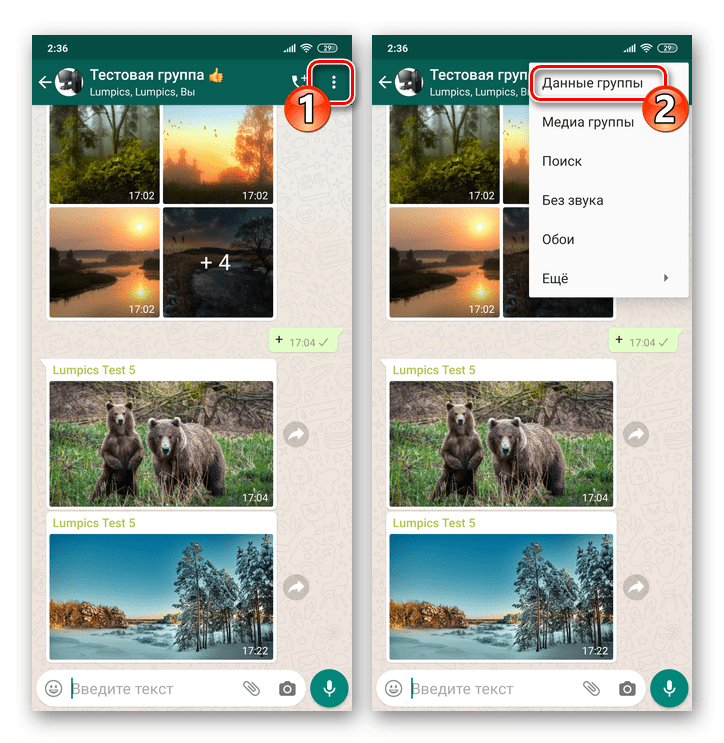 WhatsApp для Android - вызов экрана Данные группы или Просмотр контакта в чате