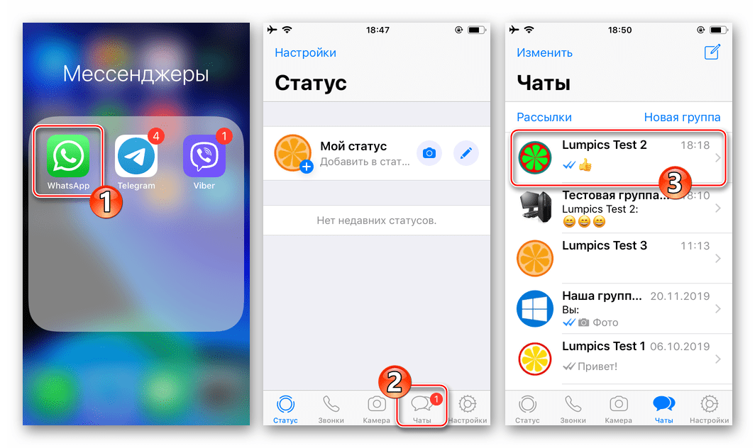 WhatsApp для iPhone запуск мессенджера переход в чат, для голосового вызова другого пользователя
