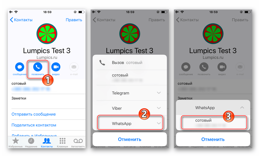 WhatsApp для iPhone аудиозвонок через мессенджер из Контактов iOS