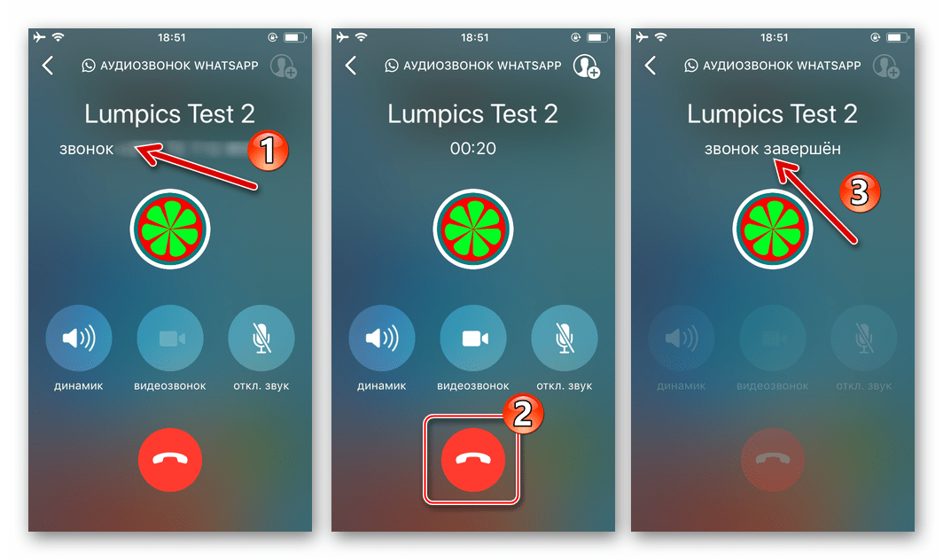 WhatsApp для iPhone процесс голосового вызова, инициированный из чата