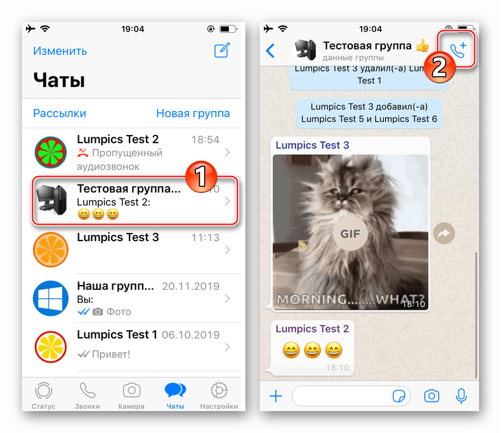 WhatsApp для iPhone переход в групповой чат, вызов функции Звонок