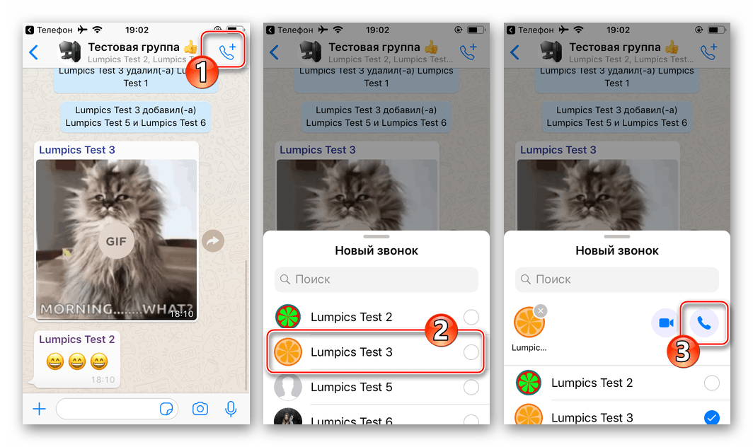 WhatsApp для iPhone голосовой вызов одного из участников группового чата в мессенджере