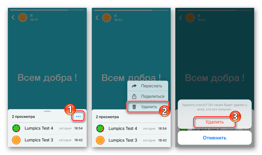 WhatsApp для iOS удаление Статуса из режима его полноэкранного просмотра